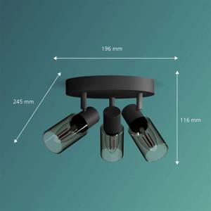 Deckenleuchte Palms Schwarz - Glas - Metall - 10 x 14 x 10 cm