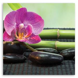 Leinwandbild Spa Zen Orchidee Blumen 50 x 50 cm