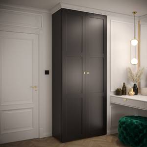 Armoire à portes battantes Man Ryf 10 Noir - Doré - 2 porte