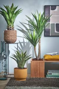 Plante artificielle Yucca 60 x 120 x 60 cm