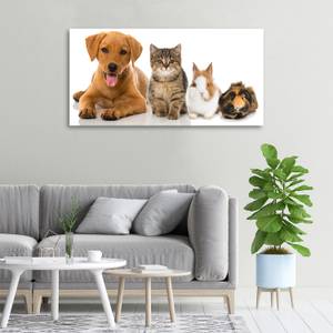 Wandbild Hund und Katze 100 x 50 cm