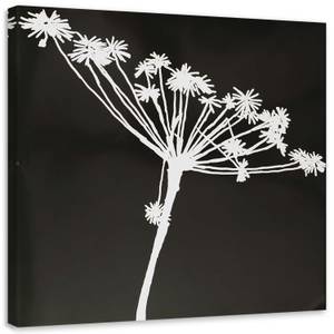 Wandbild Blume Schwarz und Weiß Natur 60 x 60 cm