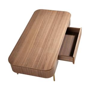 Couchtisch Walnuss und goldener Stahl Braun - Holzwerkstoff - 120 x 37 x 60 cm