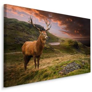 Leinwandbild HIRSCH Berge Landschaft 3D 120 x 80 x 80 cm