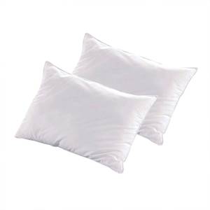 Lot de 2 oreillers ALASKA 60 x 60 cm