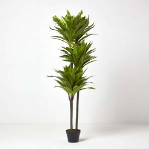 Dracaena Reflexa Kunstpflanze im Topf Grün - Kunststoff - 18 x 150 x 150 cm