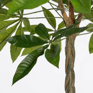 Kunstpflanze Pachira Grün - Kunststoff - 60 x 80 x 60 cm