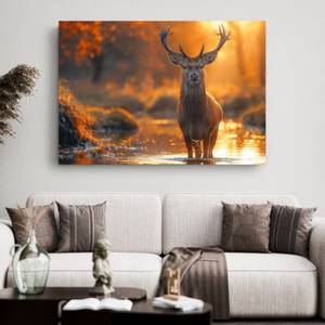 Bild Hirsch Tiere IX 100 x 70 cm