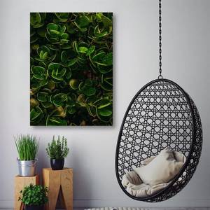 Wandbild Grüne Blätter Pflanzen Natur 60 x 90 cm