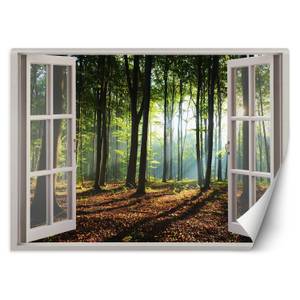 Fototapete, Fensterblick Morgen im Wald 280 x 200 cm