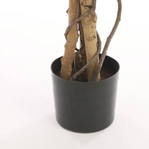Kunstpflanze Ficus Grün - Kunststoff - 90 x 180 x 90 cm