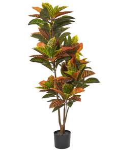 Plante artificielle CODIAEUM Noir - Marron - Vert - Matière plastique - 75 x 140 x 75 cm