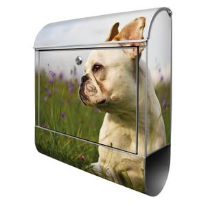 Briefkasten Stahl Französische Bulldogge Grau - Metall - 38 x 46 x 13 cm