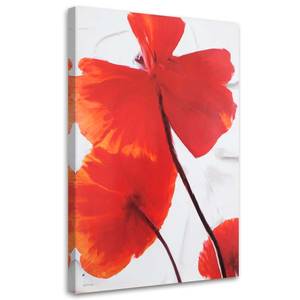 Wandbilder Mohnblume Rot Natur 80 x 120 cm