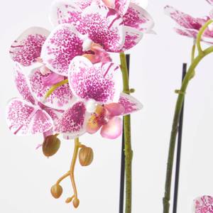 Künstliche pink-weiße Phalaenopsis Pink - Kunststoff - 24 x 50 x 50 cm