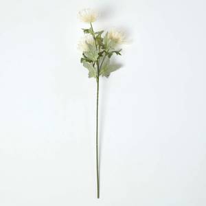 Künstlicher Dekozweig Protea-Blume Beige - Kunststoff - 20 x 65 x 65 cm