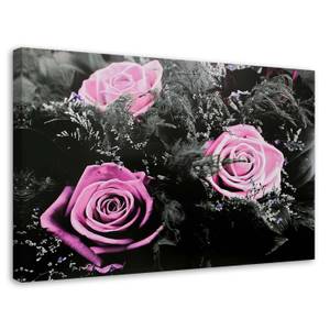 Wandbild Rosa Rosen Natur Blumen 100 x 70 cm
