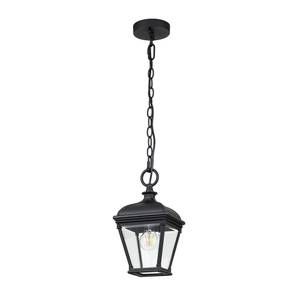 Bayview Lampe suspendue extérieure Noir - Métal - 18 x 34 x 18 cm