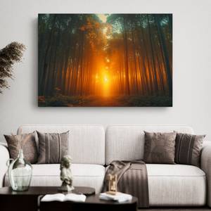 Bild Wald Bäume X 90 x 60 cm