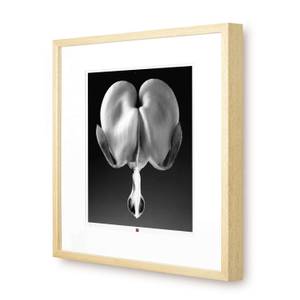 Photo d`art limitée Flower of Truth Noir - Blanc - Verre - Papier - 50 x 50 x 3 cm