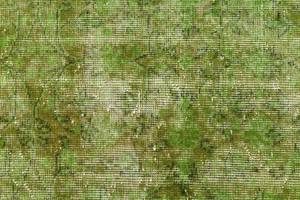 Tapis Ultra Vintage DCCCXXV Vert - Textile - 160 x 1 x 282 cm