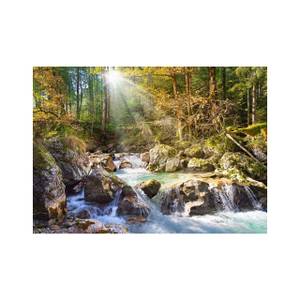 Puzzle Sunny Forest Sream 2000 Teile Papier - 27 x 5 x 38 cm