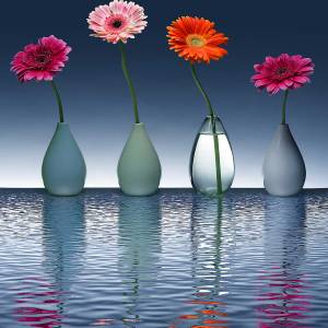 Tableau fleurs vases jolies fleurs 30 x 45 cm - Verre