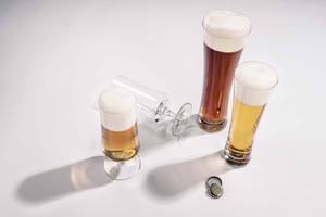 Pilsgläser Beer Basic 4er Set kaufen