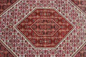 Bidjar - 246x170cm Rot - Naturfaser - 170 x 1 x 246 cm