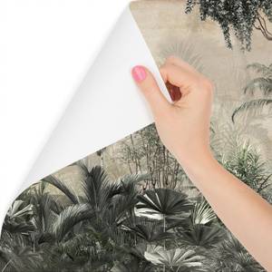 Papier Peint FORÊT Tropicales Vintage 300 x 210 x 210 cm