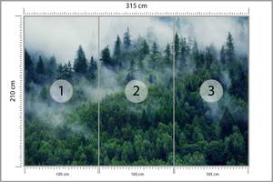 Fototapete WALD IM NEBEL Bäume Natur 3D 315 x 210 x 210 cm