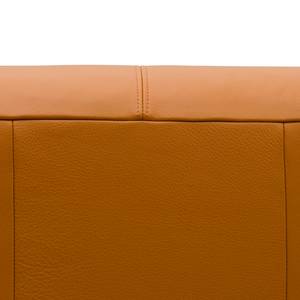 2-Sitzer Sofa HUDSON Echtleder Neka: Cognac