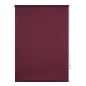 Klemmfix Rollo Win Blickdicht 100x160 cm - Grau - 100 x 160 cm