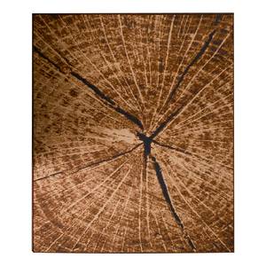 Tapis Tronc d'arbre 160 x 240 cm