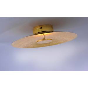 Plafonnier LED Plate Leaf Acier - 1 ampoule - Doré - Abat-jour diamètre : 50 cm
