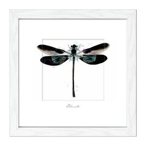 Afbeelding Dragonfly wit/zwart