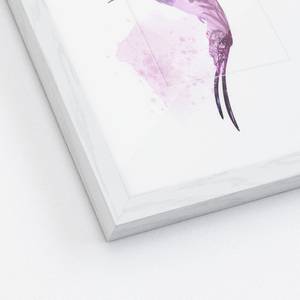 Impression dart Honeybird II Blanc / Violet