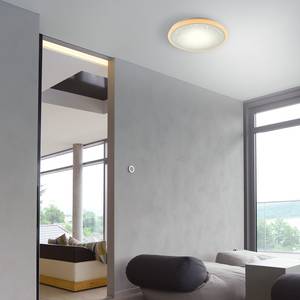 LED-plafondlamp Luisa kunststof/staal - 2 lichtbronnen