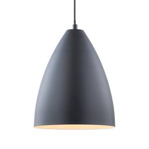 Suspension Huelma Fer - 1 ampoule - Noir