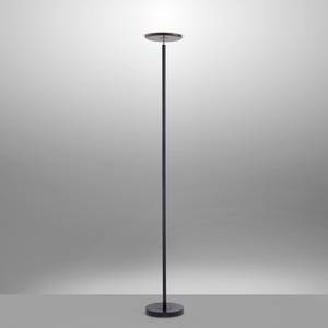 LED-staande lamp Hans kunststof - 1 lichtbron - Zwart