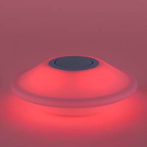 LED-padverlichting Peer kunststof - 1 lichtbron