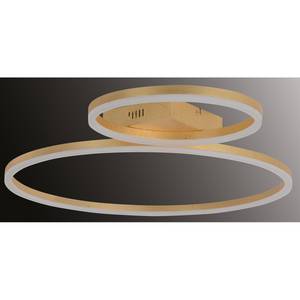 LED-Deckenleuchte Siena Acrylglas / Stahl  - 2-flammig