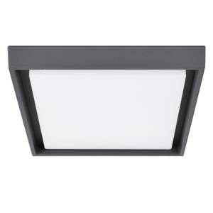 LED-buitenwandlamp Tromso I plexiglas / staal  - 1 lichtbron