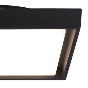 LED-buitenwandlamp Tromso I plexiglas / staal  - 1 lichtbron