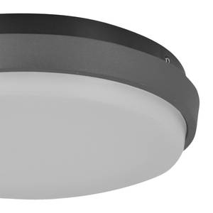 LED-buitenwandlamp Tromso VIII plexiglas / staal  - 1 lichtbron