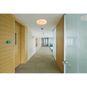 LED-Deckenleuchte Locarno Acrylglas / Stahl  - 1-flammig