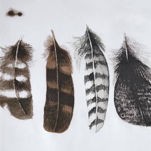 Renforce Bettwäsche Wild Feathers Baumwollstoff - Weiß - 200 x 200/220 cm + 2 Kissen 70 x 60 cm