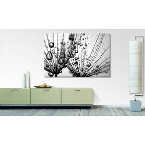 Impression sur toile Dandelion Seed Gris - Bois massif - Textile - 120 x 80 x 2 cm