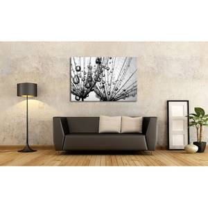 Impression sur toile Dandelion Seed Gris - Bois massif - Textile - 120 x 80 x 2 cm