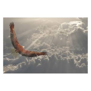 Bild Eagle Flight Weiß - Massivholz - Textil - 120 x 80 x 2 cm